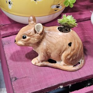 Tiny Mouse Planter w/Hens and Chicks